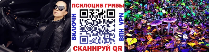 Псилоцибиновые грибы мицелий Баксан
